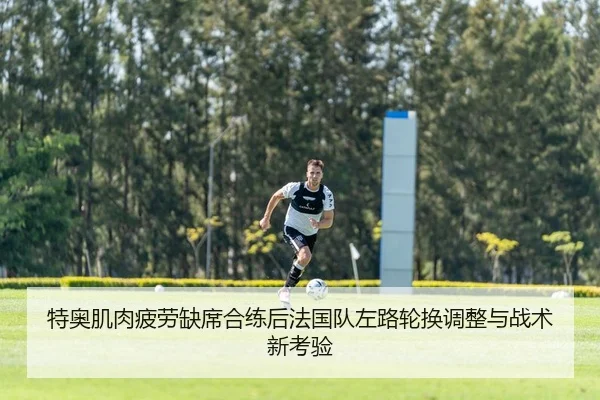 特奥肌肉疲劳缺席合练后法国队左路轮换调整与战术新考验